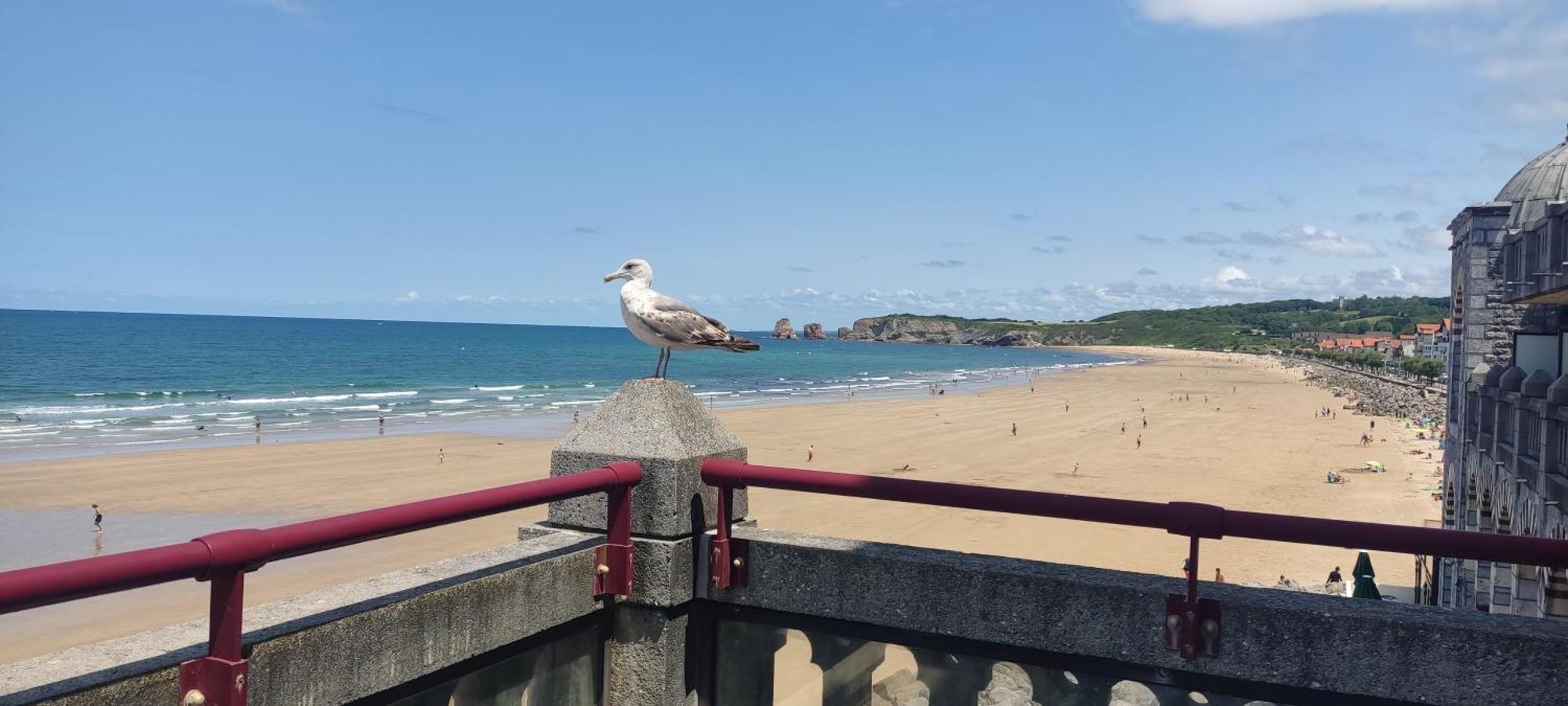 Con Terraza Sobre El Mar Apartment Hendaye